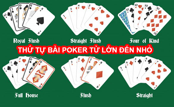 Chiến Thuật Cơ Bản Cho Người Mới Bắt Đầu