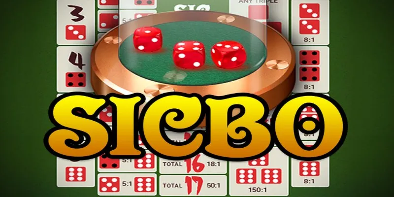 Sicbo Là Gì? Định Nghĩa Chi Tiết