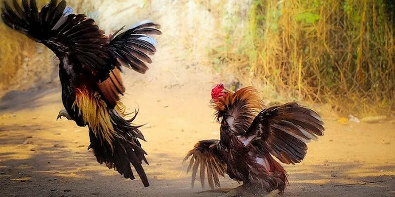 Thuật Ngữ Về Phương Pháp Tập Luyện