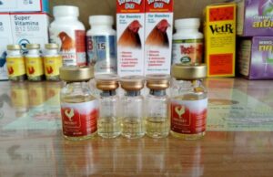 Tại Sao Gà Đá Cựa Sắt Cần Thuốc Bổ Đặc Biệt